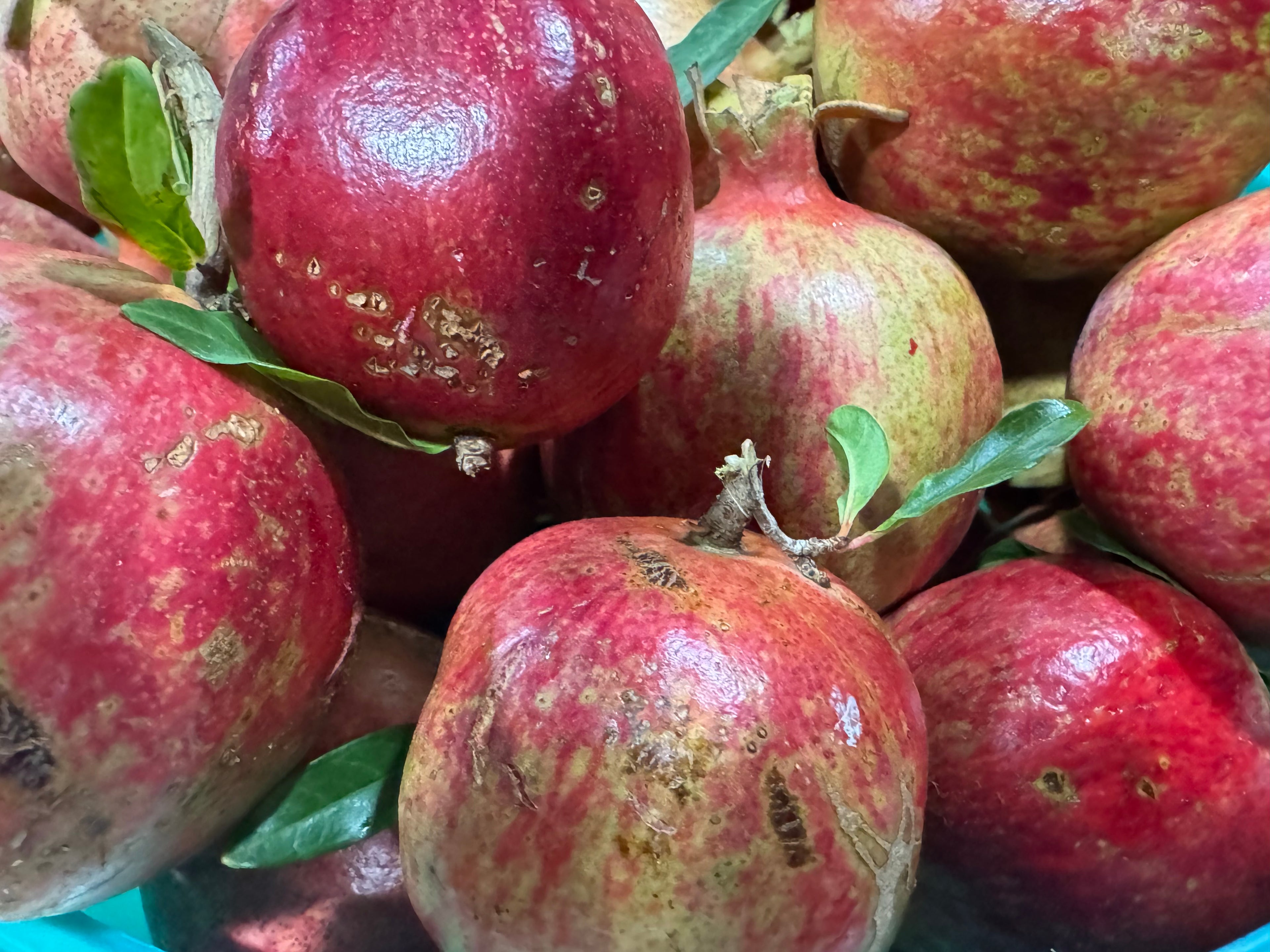 Pomegranate Jelly