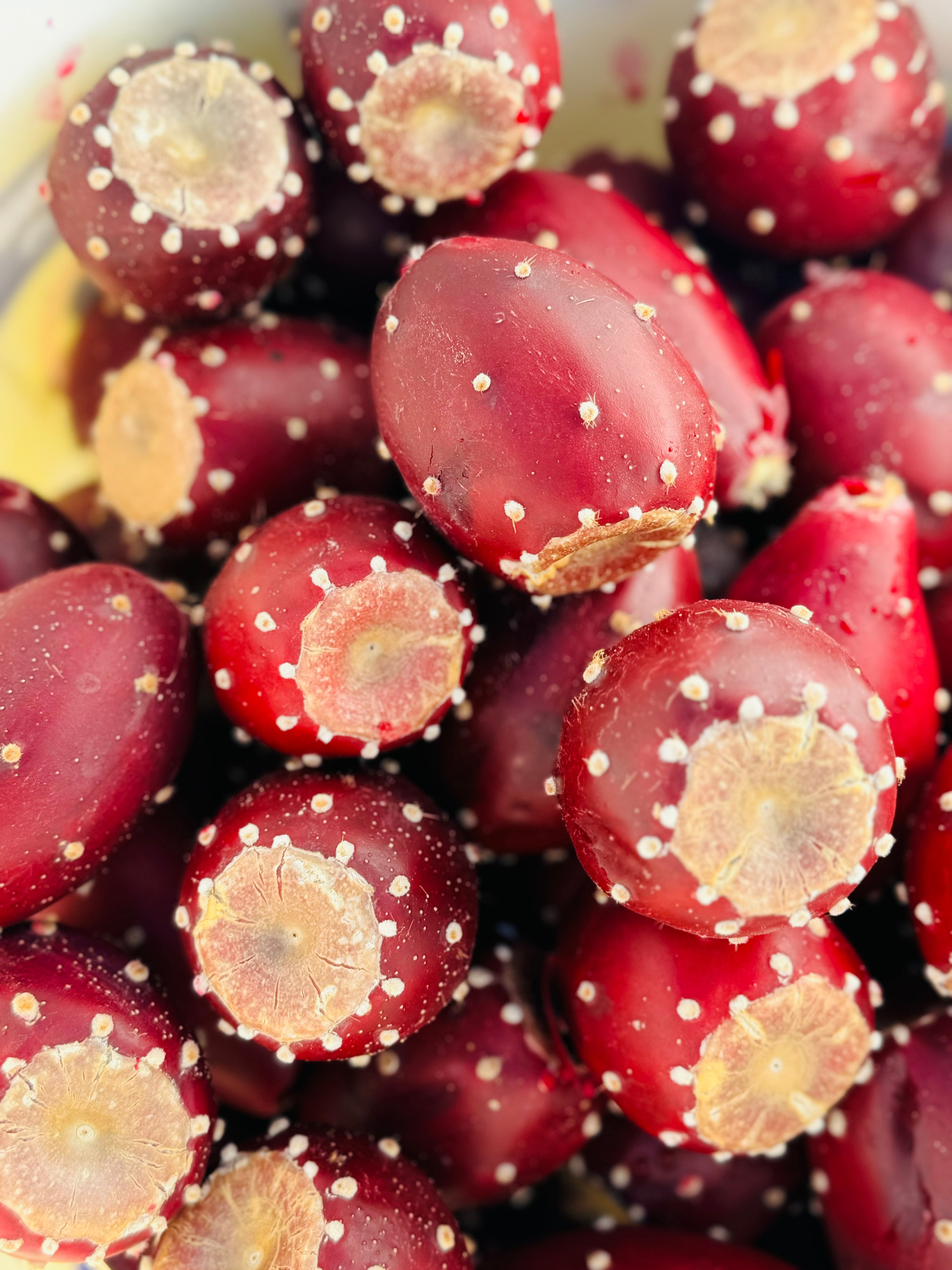 Prickly Pear Jelly
