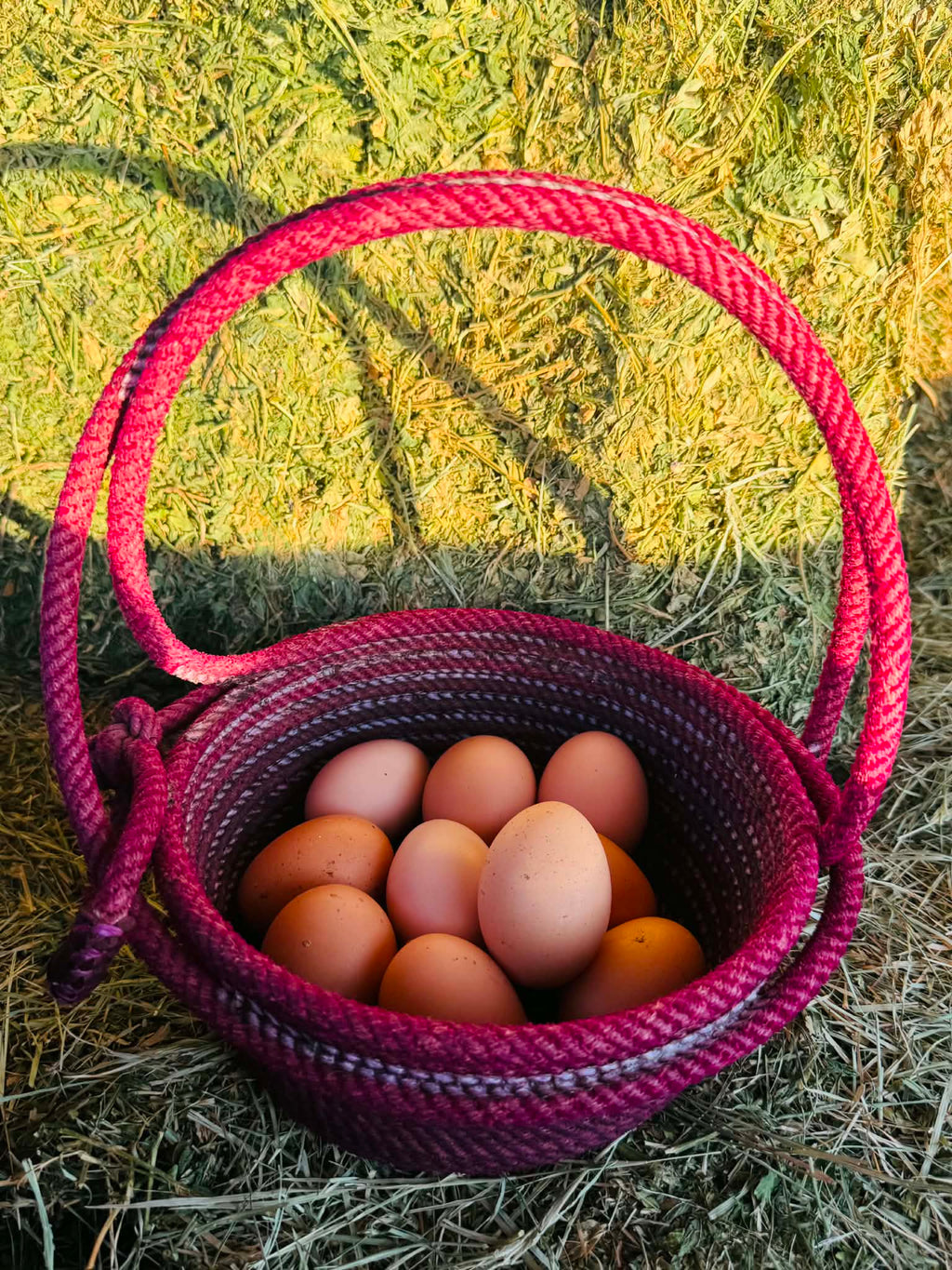 Handled Rope Basket