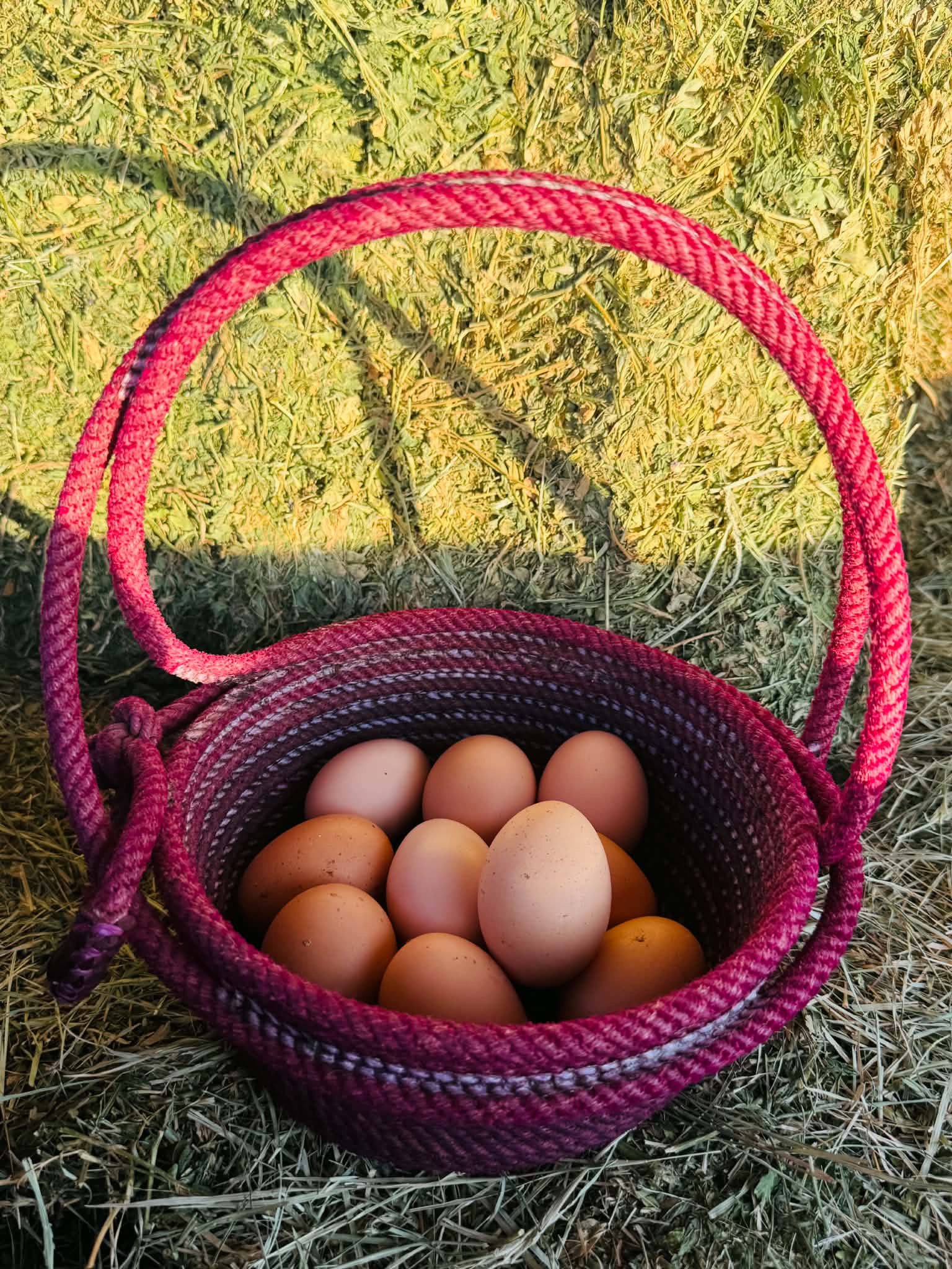 Handled Rope Basket